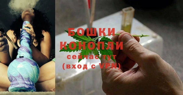 молекула духа Лагань