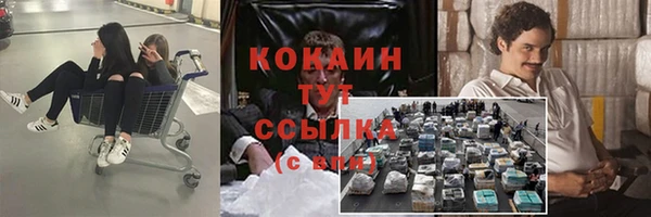 молекула духа Лагань