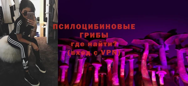 тгк Ладушкин