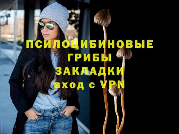 гидропоника Лабытнанги