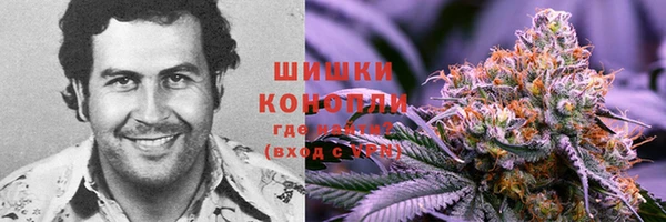 молекула духа Лагань