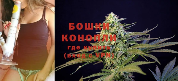 тгк Ладушкин