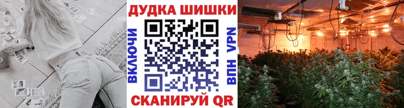 Шишки марихуана MAZAR  сколько стоит  Пролетарск 